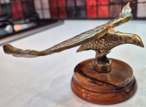 Vintage eagle radiator - eagle, mascot